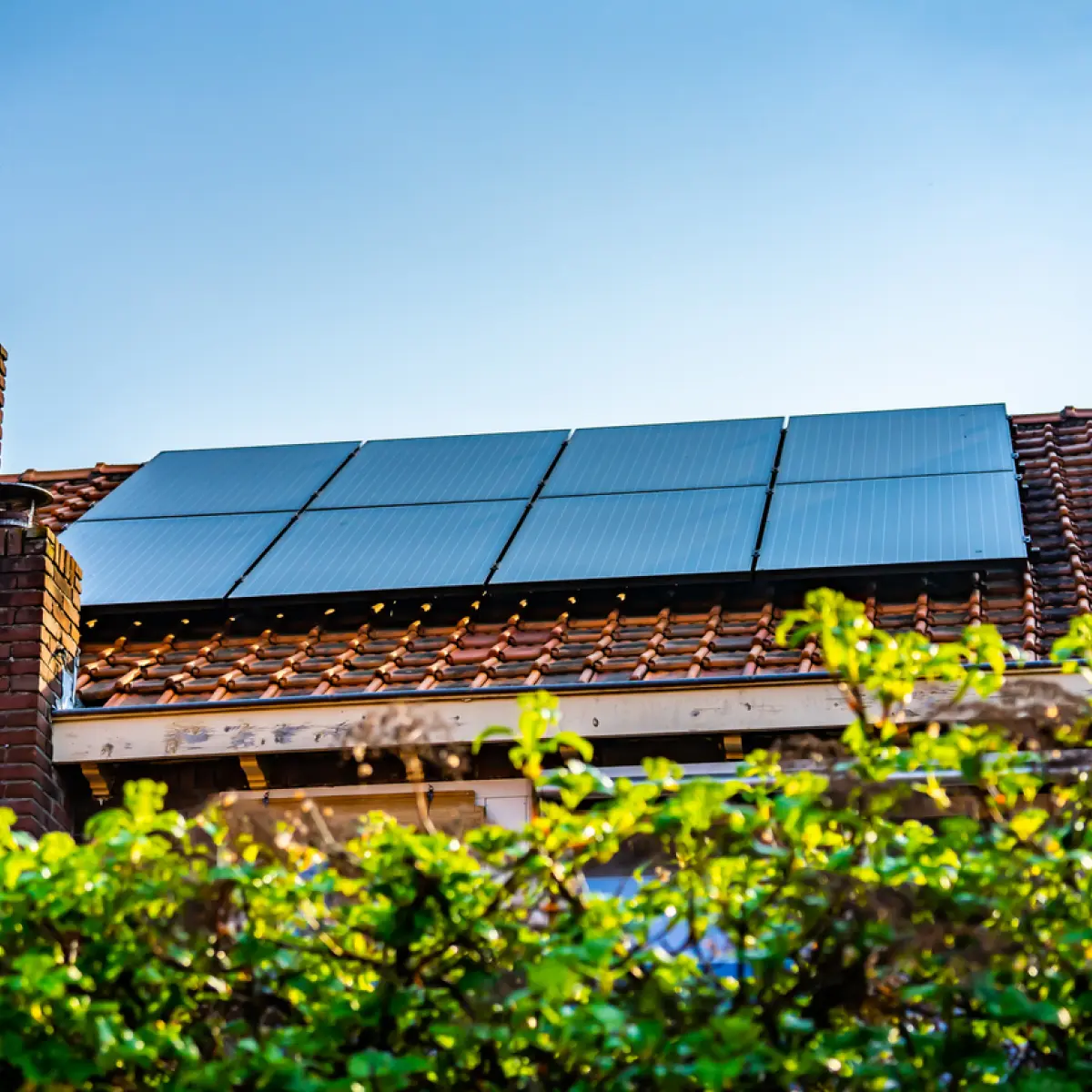 Solar panels on the roof of a house, with green shrubbery in the foreground and a blue sky.